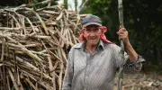 fortalecer las economías propias