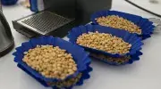 Caficultores fortalecen sus competencias técnicas con la Credencial en Café de la Javeriana Cali 