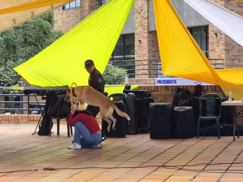 Feria de Seguridad y Movilidad Sostenible Javeriana Cali 