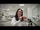 Embedded thumbnail for Doctorado en Ingeniería y Ciencias Aplicadas > Elementos adicionales de la página > Galería > Content Multimedia Gallery